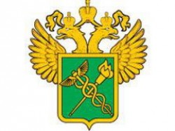 Строительство таможенно-логистических терминалов на юге России